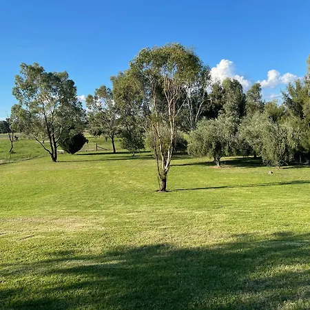 Almas * Mudgee