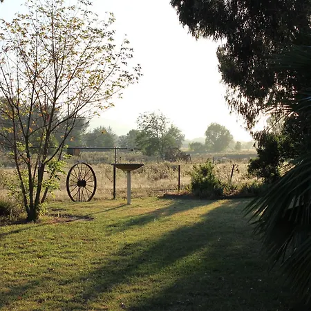 The Cudgee At