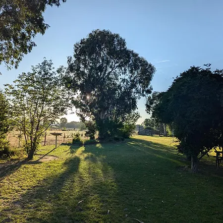The Cudgee At Motel
