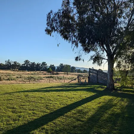 Motel The Cudgee At