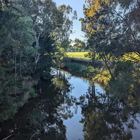 The Cudgee At