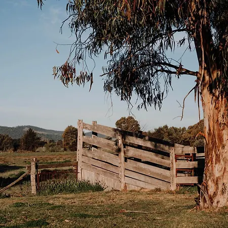 Motel The Cudgee At Mudgee
