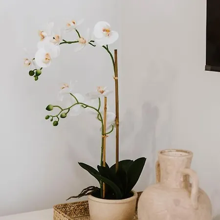 Cudgegong House - A Lush Backyard Sanctuary Holiday home Mudgee