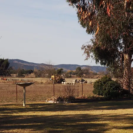 The Cudgee At Motel Mudgee
