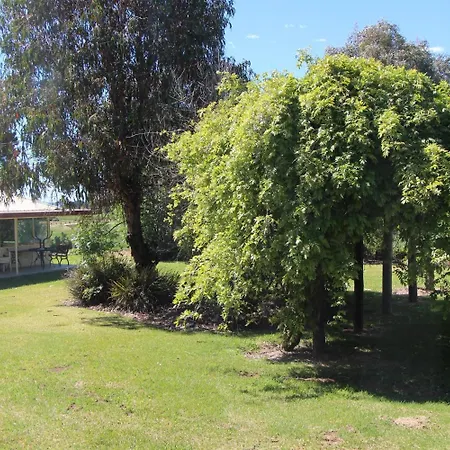 The Cudgee At