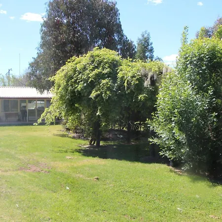 The Cudgee At 4*