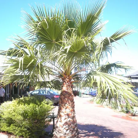 Motel Ningana 4*
