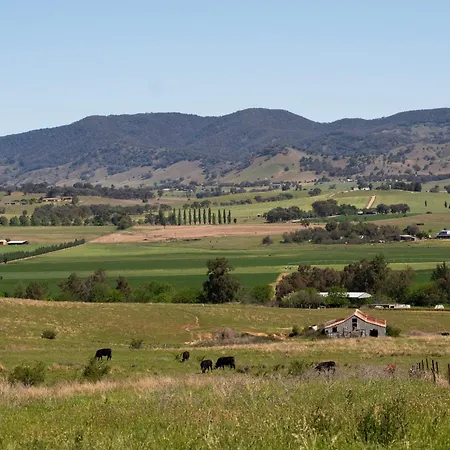 Allambie - Poolside Elegance In Countryside Mudgee