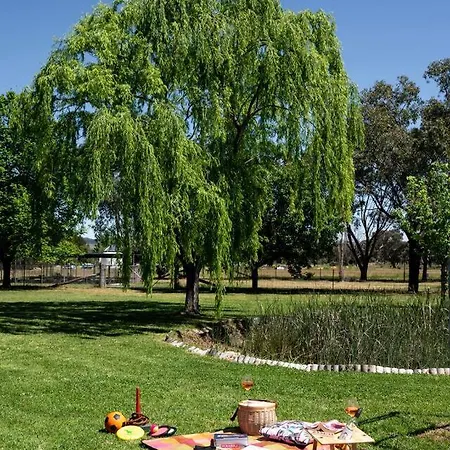 Tilia Estate - Wine Country Haven With Games Mudgee