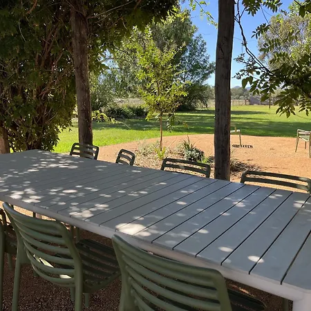 The Cudgee At Mudgee