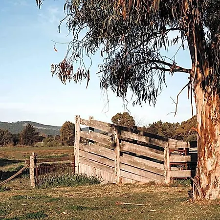 The Cudgee At Motel