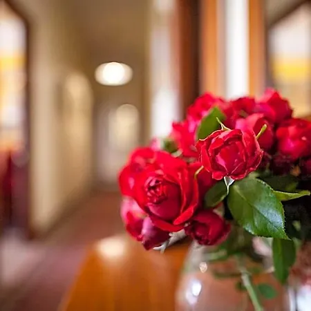 Homestead Hotel Mudgee