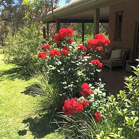 Wildwood Mudgee