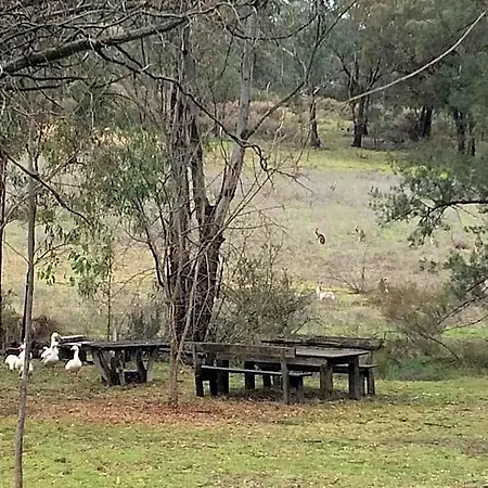 Wildwood Hotel Mudgee