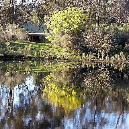 Wildwood 4* Mudgee