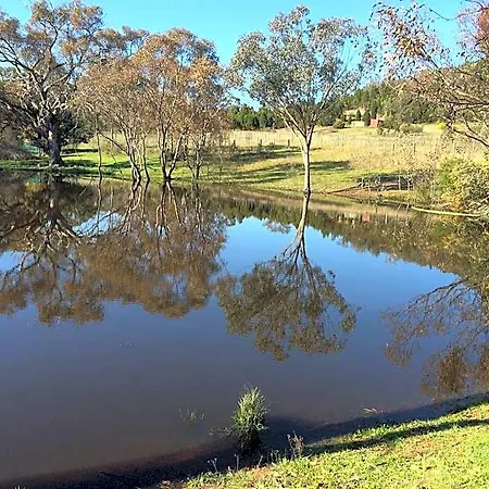 Wildwood 4* Mudgee