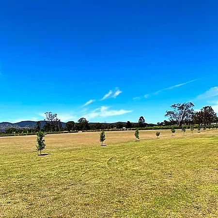 Motel Vineyard Motor Mudgee