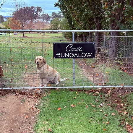 Coco's Villa