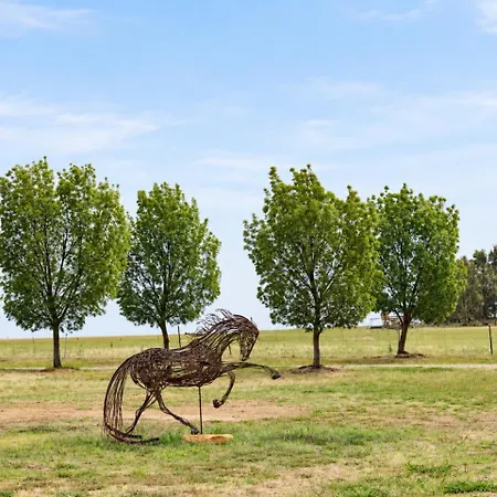 Shawwood Mudgee