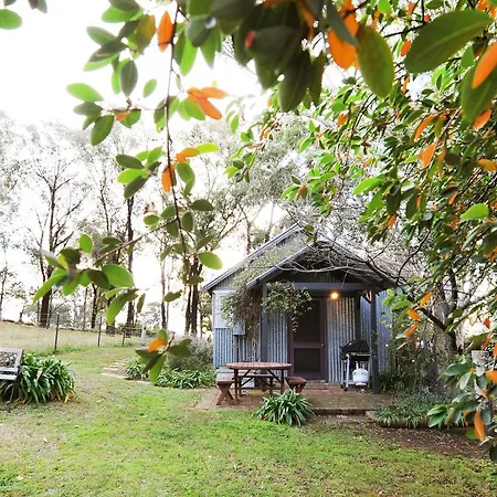 In The Grove, The Church, And Premium Private Homestead * Mudgee