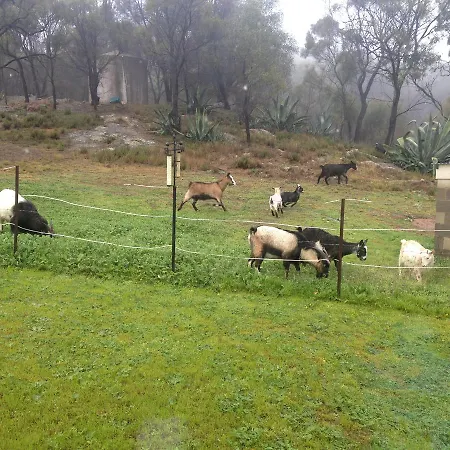 Didgy Ridge Mudgee