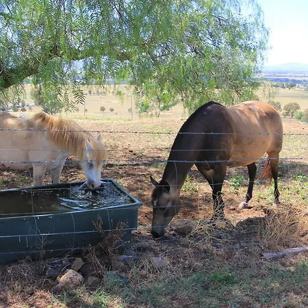 Millerton@mudgee Mudgee