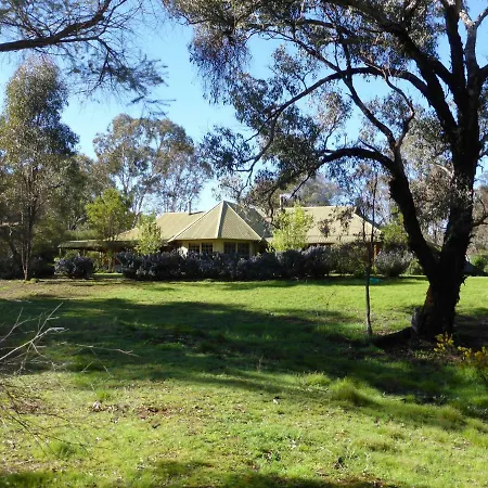 Wildwood * Mudgee
