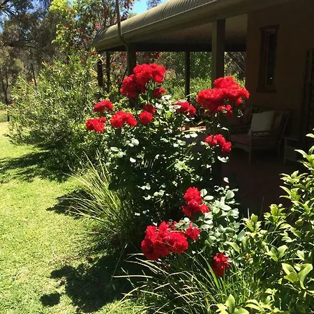 Lodge Wildwood