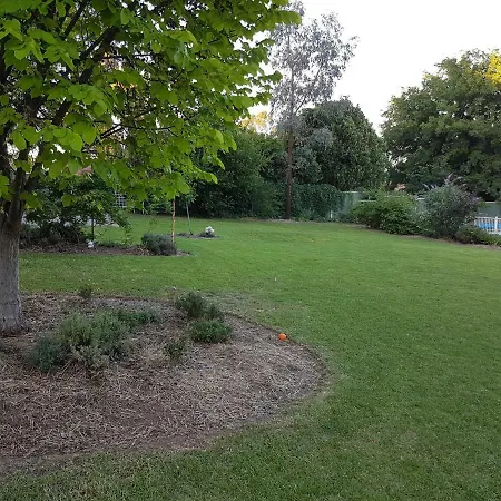Sue's Sanctuary