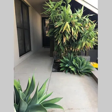Red Lotus Retreat Apartment