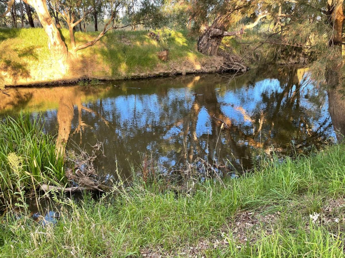 Almas * Mudgee