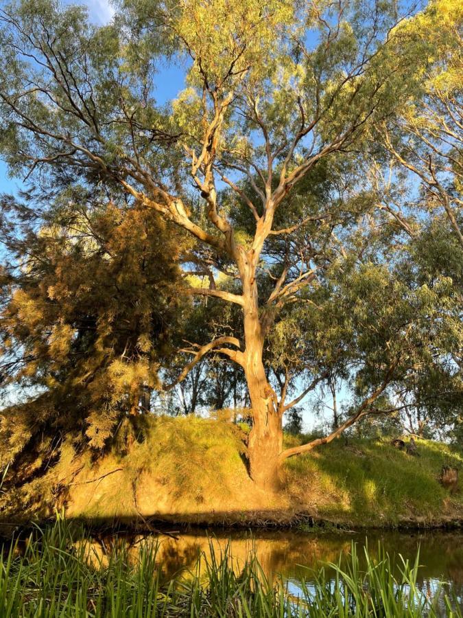 Almas Holiday home Mudgee