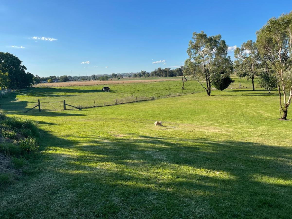 Almas * Mudgee