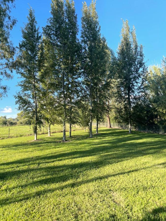 Almas Mudgee