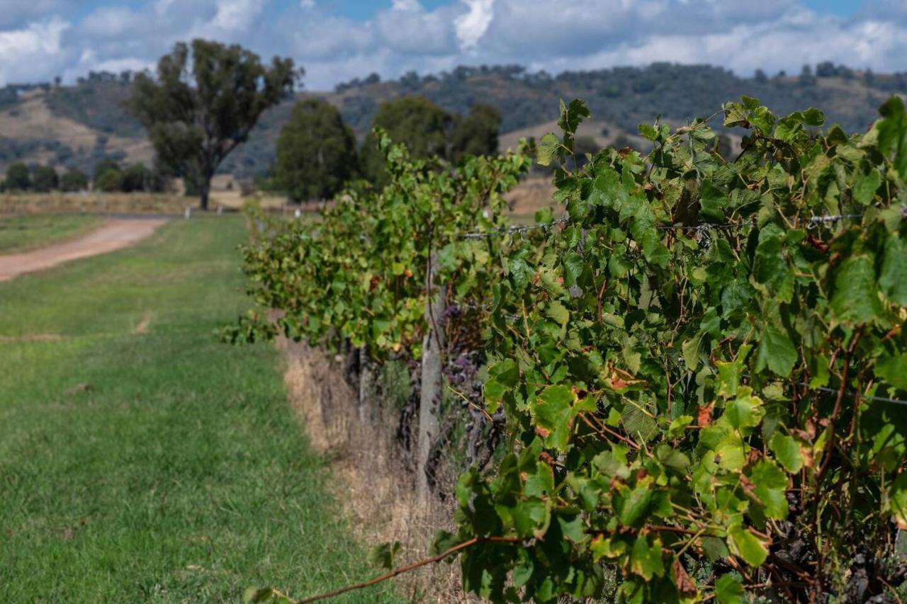 Holiday home 'orana Grove' Reset At A Vineyard Getaway