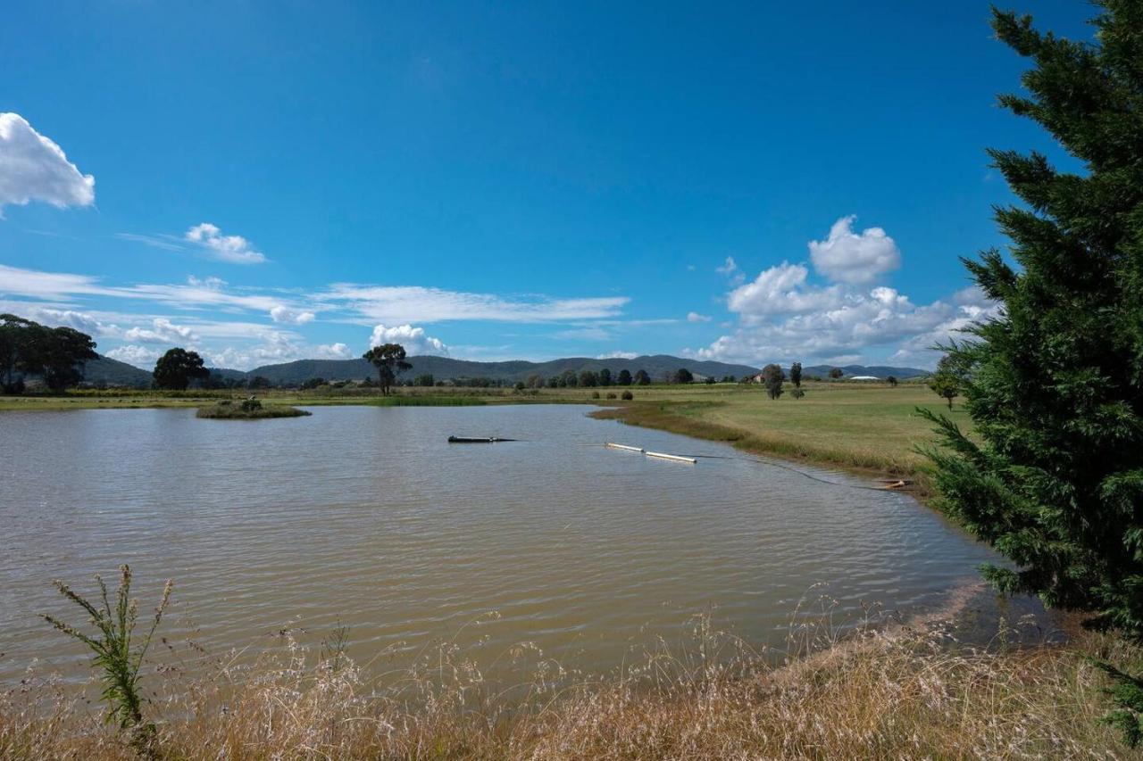 'orana Grove' Reset At A Vineyard Getaway Holiday home