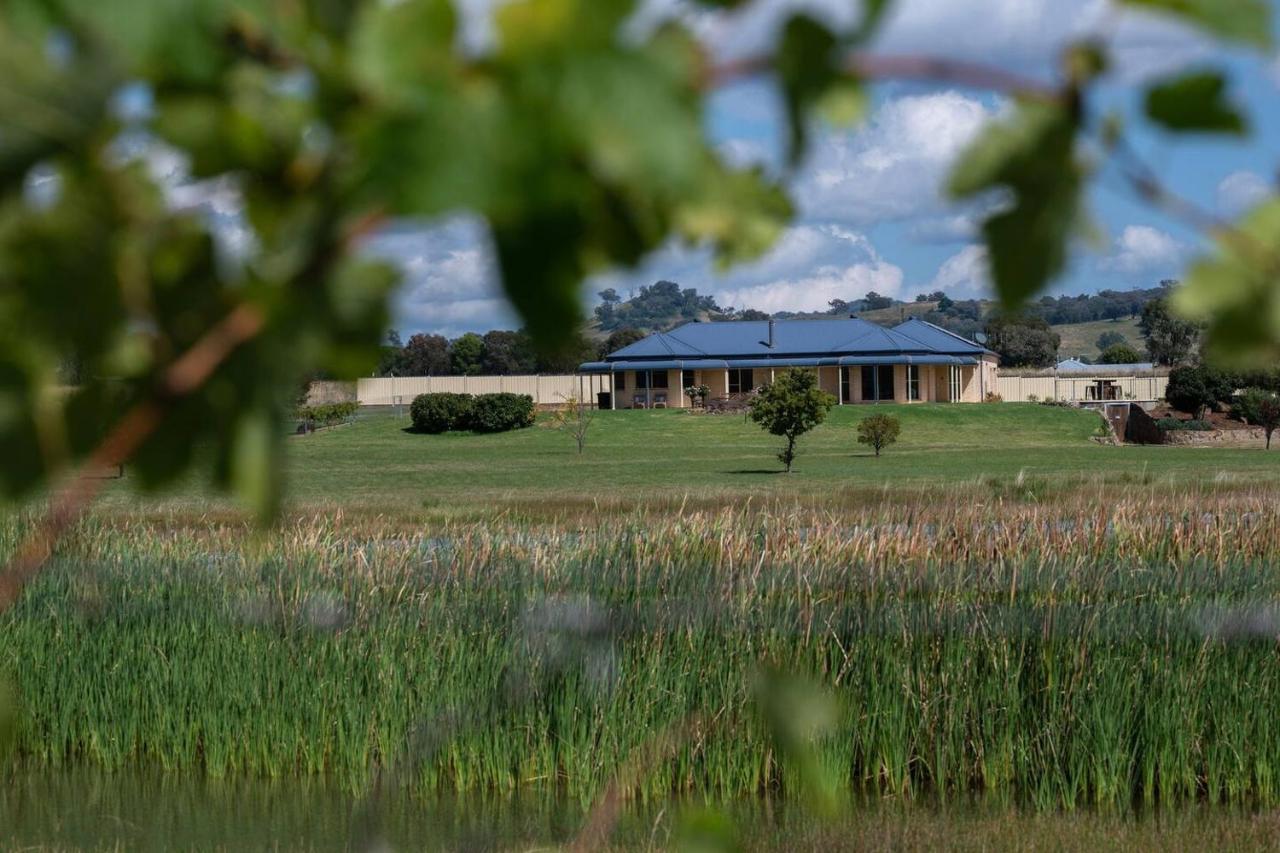 'orana Grove' Reset At A Vineyard Getaway