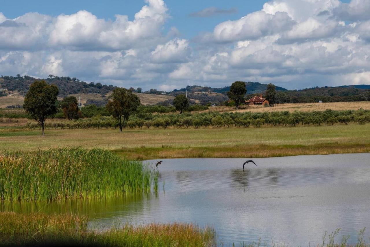'orana Grove' Reset At A Vineyard Getaway Mudgee