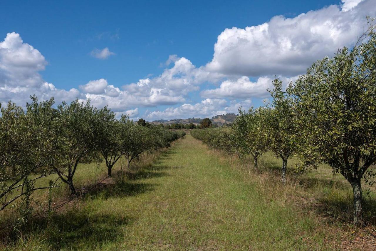 'orana Grove' Reset At A Vineyard Getaway * Mudgee