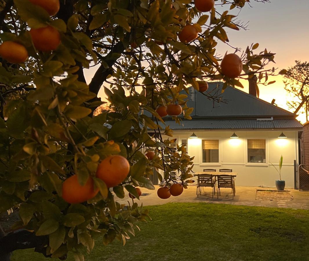 Clementine * Mudgee