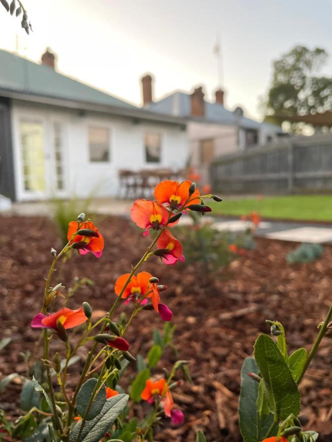 Clementine Holiday home *
