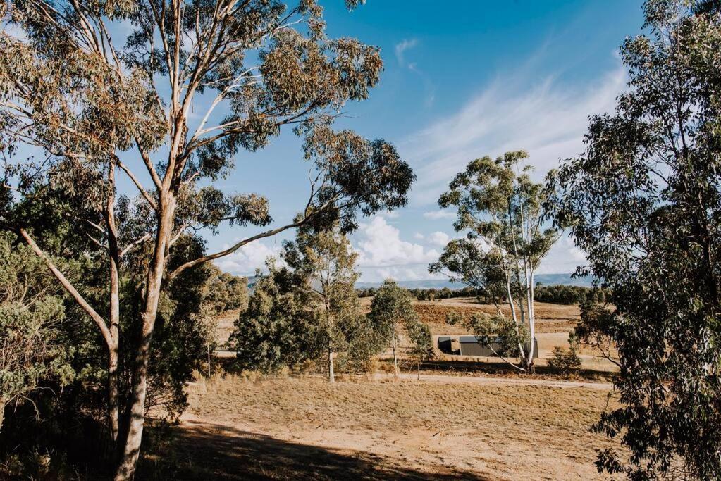 Apple Tree - An Idyllic Country Reset * Mudgee