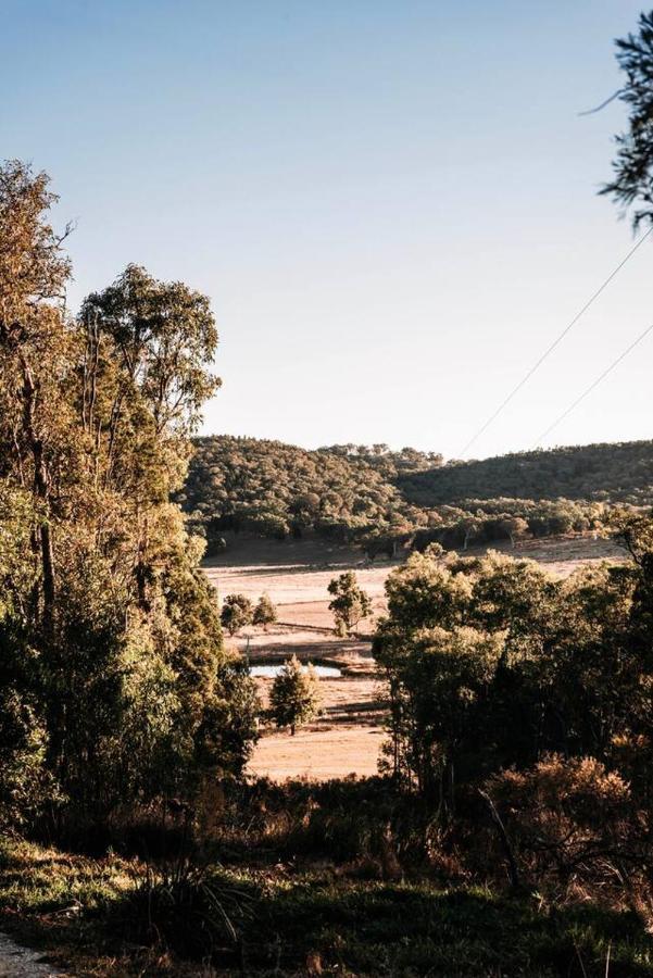 Ilkley House - A Refreshing Family Rural Getaway Mudgee