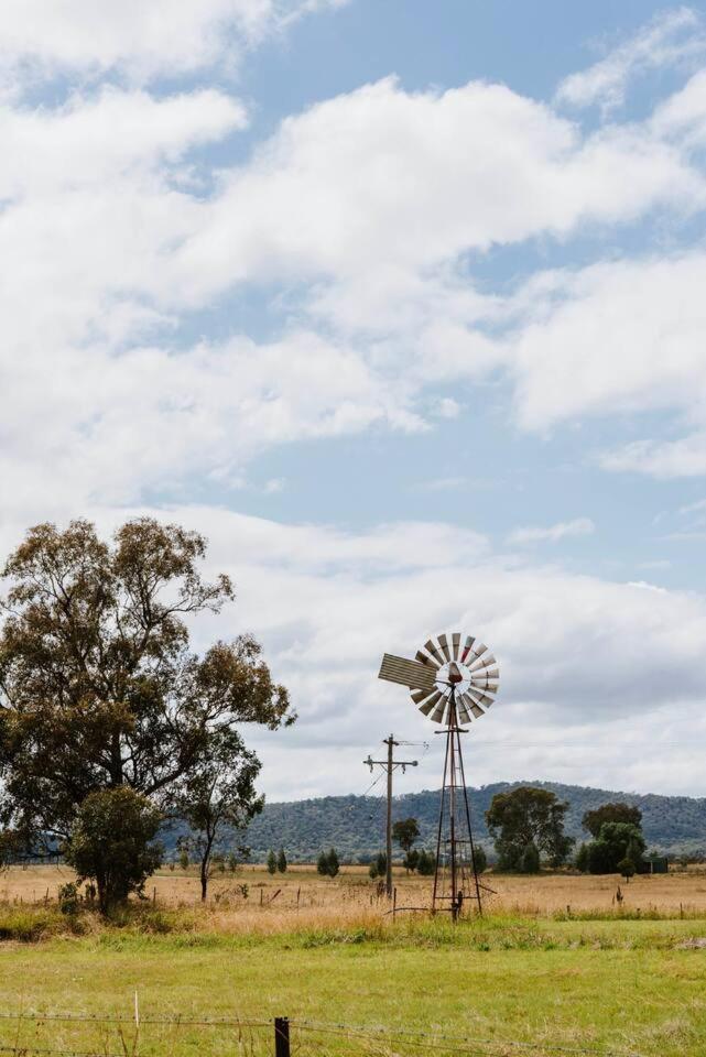 Anton Pavilion - Cheerful Country Solace In Mudgee