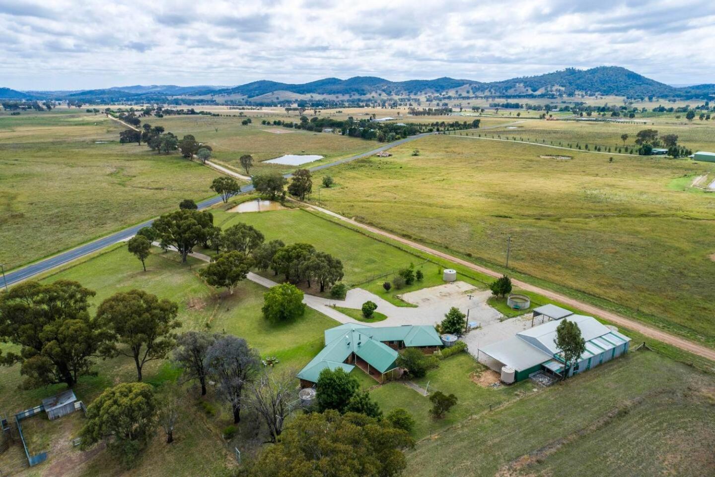 Anton Pavilion - Cheerful Country Solace In Mudgee