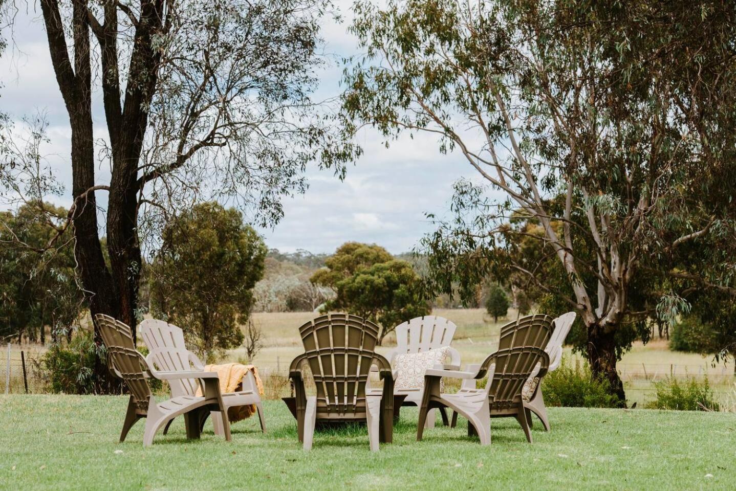 Anton Pavilion - Cheerful Country Solace In Mudgee