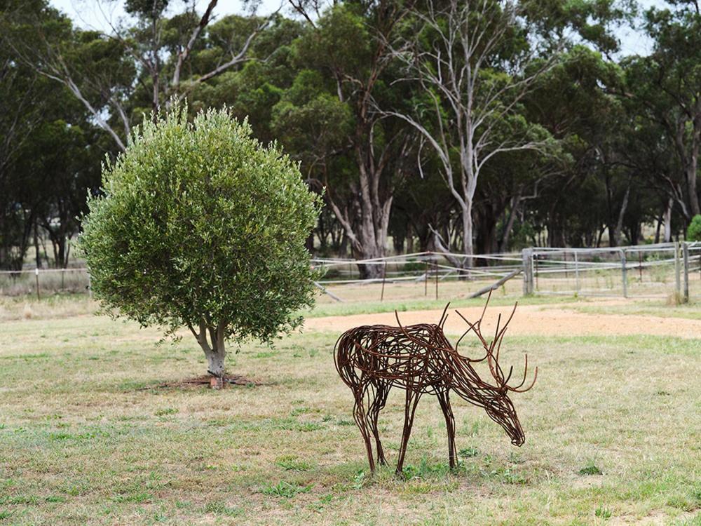 Villa Shawwood Estate Mudgee