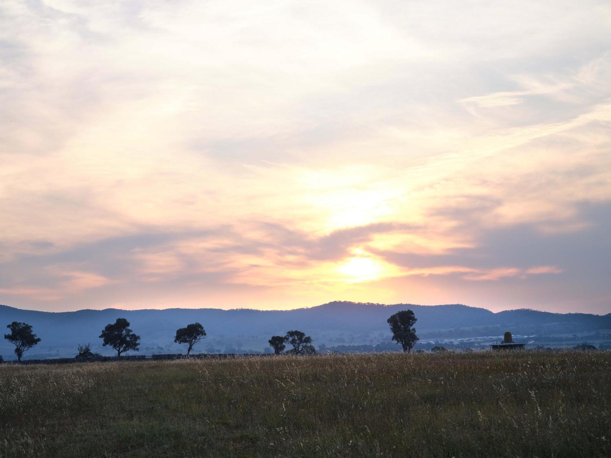 Shawwood Estate Mudgee