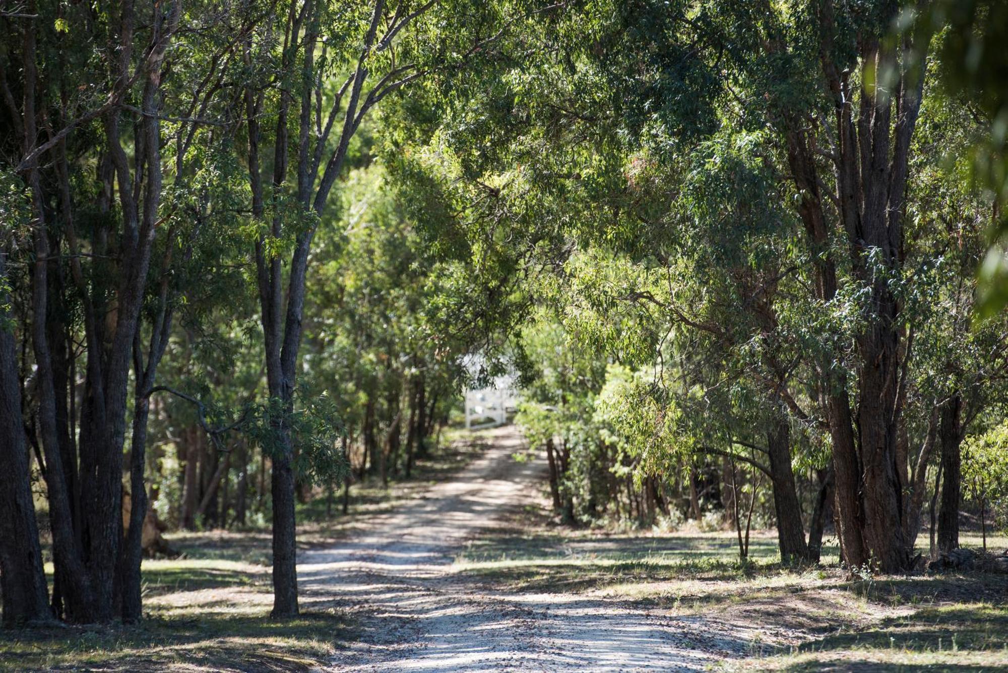 Bandalong Cottages Mudgee