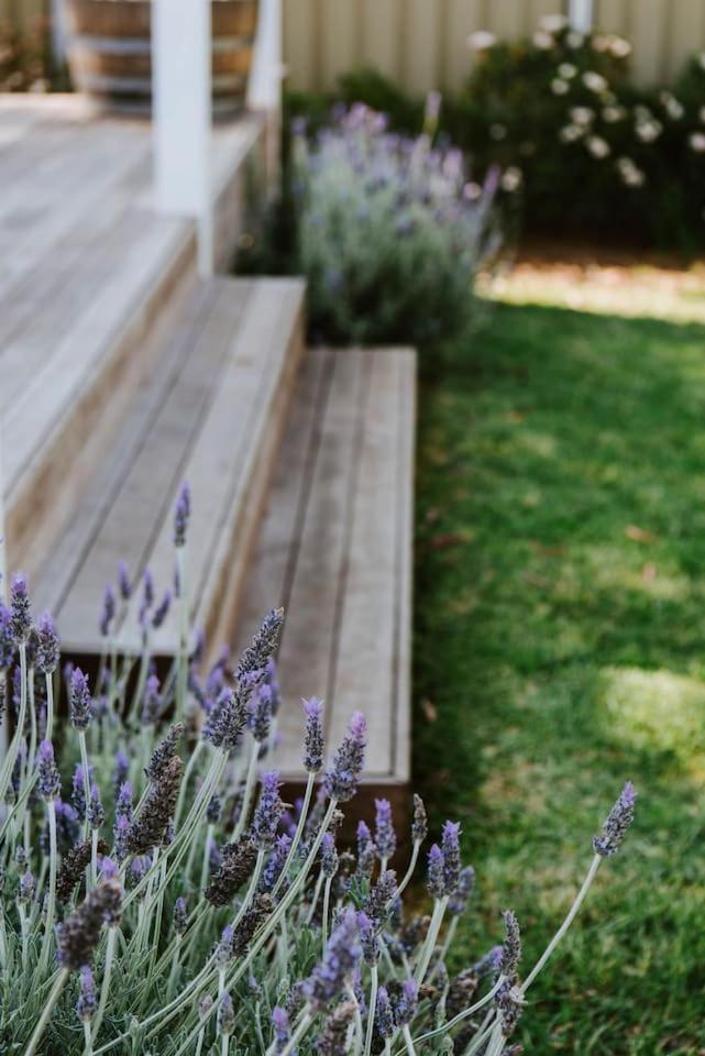 White Lavender - A Garden Escape * Mudgee